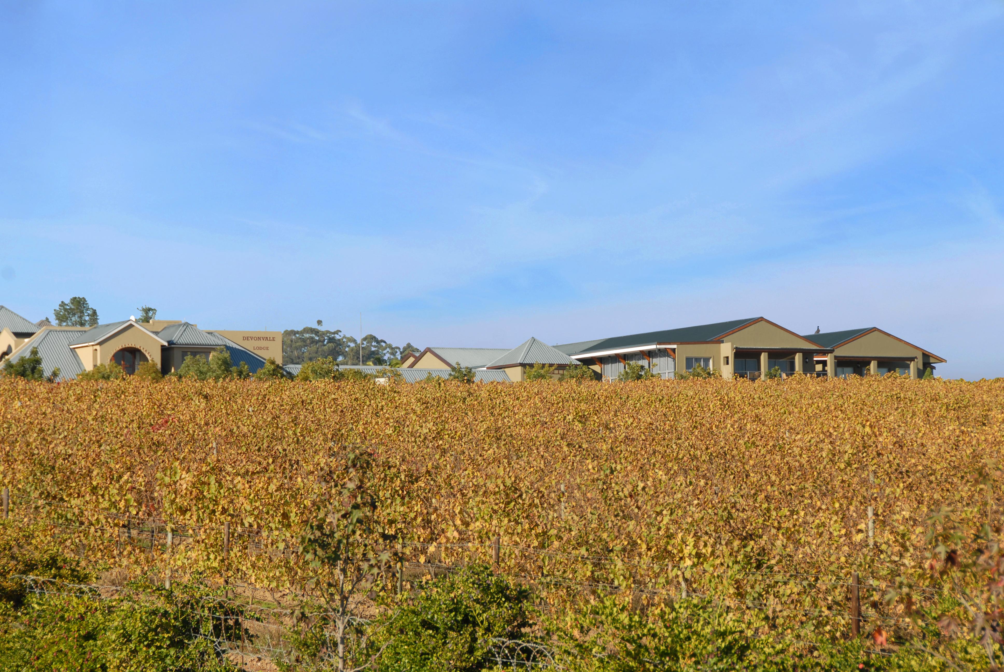Devonvale Golf & Wine Estate Stellenbosch Exterior foto